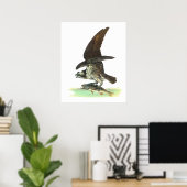 Posters/Print: Osprey - John Audubon ポスター (ホームオフィス)
