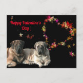 Postkarte English Mastiff Valentinstags ポストカード (正面)