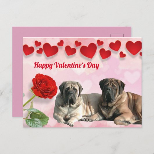 Postkarte English Mastiff Valentinstags  ポストカード (正面/裏面)