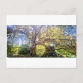 Postkarte Großer Laubbaum ポストカード (正面)