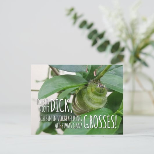 Postkarte mit Raupe & Humor ポストカード (スタンド正面)