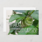 Postkarte mit Raupe & Humor  ポストカード (正面/裏面)