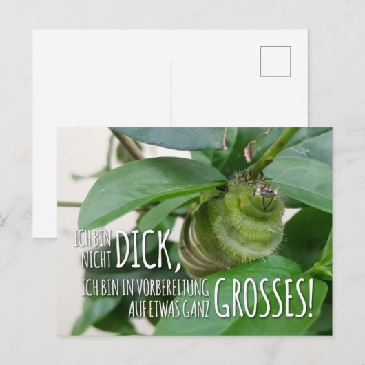 Postkarte mit Raupe & Humor  ポストカード (正面/裏面)