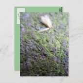 Postkarte - Moß&Pollen ポストカード (正面/裏面)