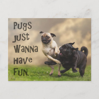 Postkarte "Pugs just wanna have fun" ポストカード
