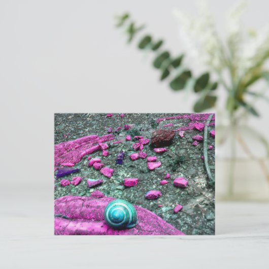 Postkarte "SnailShell" ポストカード (スタンド正面)