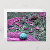 Postkarte "SnailShell" ポストカード (正面/裏面)