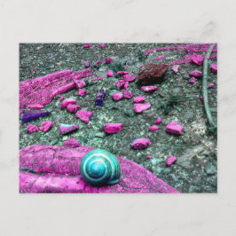 Postkarte "SnailShell" ポストカード