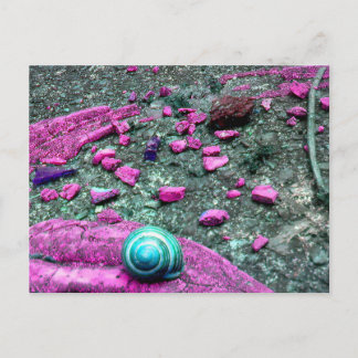 Postkarte "SnailShell" ポストカード