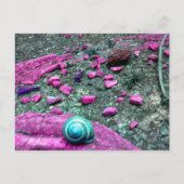 Postkarte "SnailShell" ポストカード (正面)