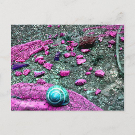 Postkarte "SnailShell" ポストカード (正面)