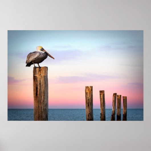 Posts & a Pelican | Fort Myers Beach, Florida ポスター (正面)