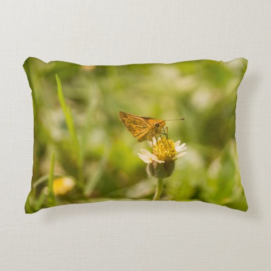 Potanthus omaha アクセントクッション (正面)