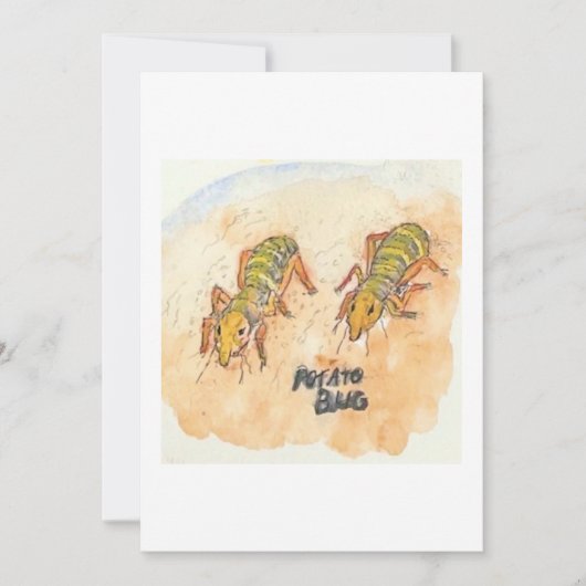 Potato Bug Greeting Card 招待状 (正面)