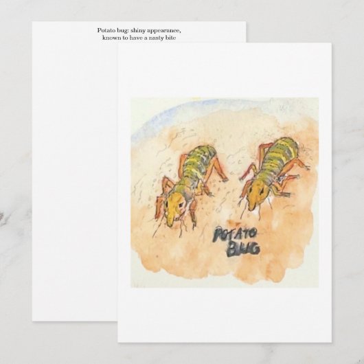 Potato Bug Greeting Card 招待状 (正面/裏面)