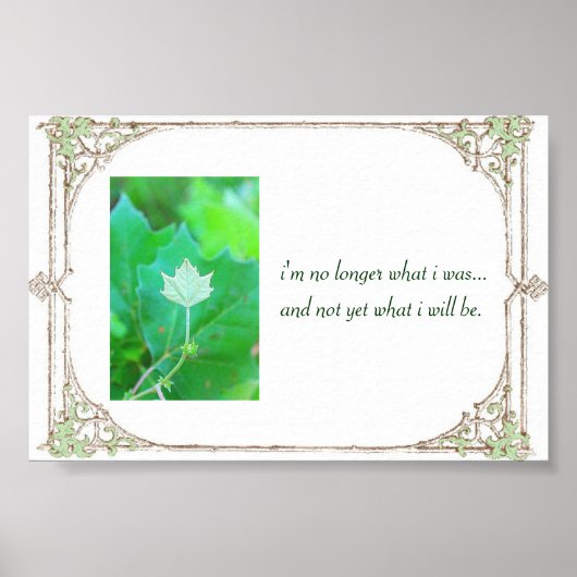 Potential ポスター (正面)