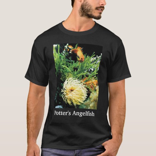 Potter's Angelfish Tシャツ (正面)
