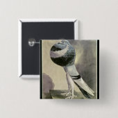 Pouterハトのポートレート 缶バッジ (正面&裏面)