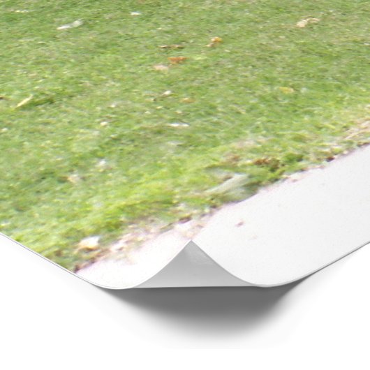 POW-MIAメモリアル ポスター (角)