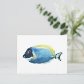 Powder Blue Tang Fish Postcard ポストカード (スタンド正面)