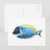Powder Blue Tang Fish Postcard ポストカード (正面/裏面)