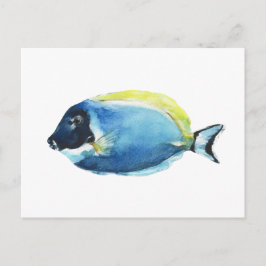 Powder Blue Tang Fish Postcard ポストカード