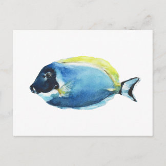 Powder Blue Tang Fish Postcard ポストカード