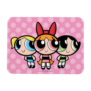 Powerpuff女の子：砂糖、スパイス、すべていい マグネット