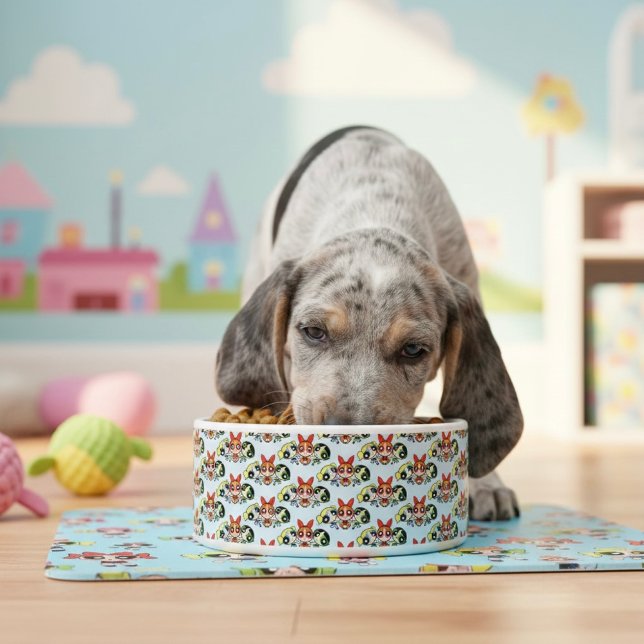 powerpuff girls Bowl ボウル (クリエイターアップロード済み)