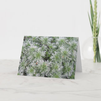 Powisの城のArtemisia カード