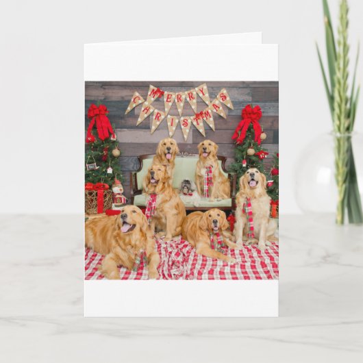 Pradaの束のクリスマスカード シーズンカード (正面)