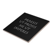 Praesis ut prosis ne ut imperes タイル (側面)