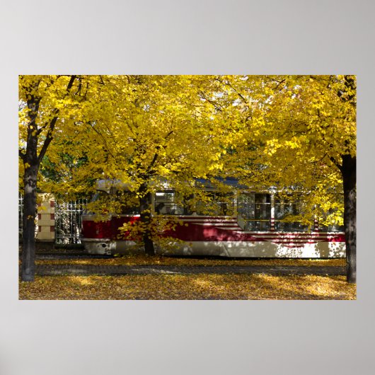 Prague Tram in Autumn Splendor ポスター (正面)