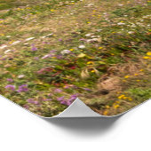 Praia da ursa ポスター (角)