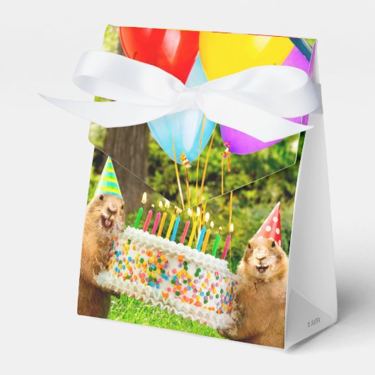 Prairie Dog Birthday Party フェイバーボックス (正面サイド)
