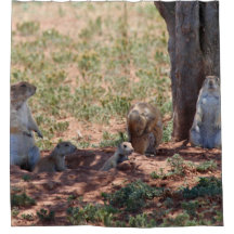 Prairie Dog Family