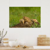 Prairie Dog Family on Den ポスター (キッチン)