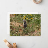 Prairie Dog Solo ノートカード (正面/裏面インサイチュ)