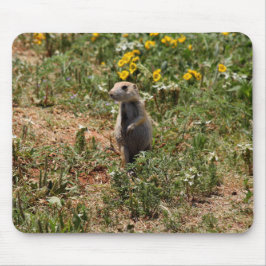 Prairie Dog Solo マウスパッド