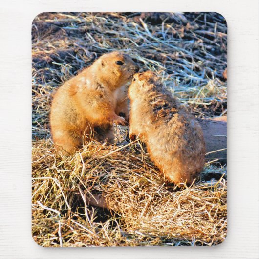 PRAIRIE DOGS マウスパッド (正面)