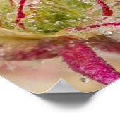 Prairie Smoke in the rain at Theodore ポスター (角)