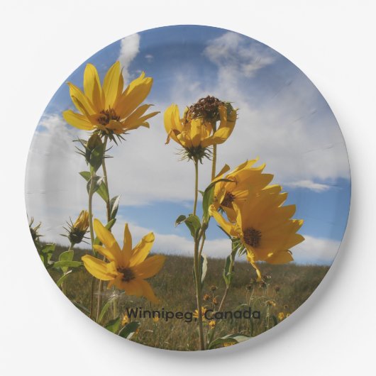 Prairie Sunset round paper plate ペーパープレート (正面)