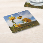 Prairie Sunset square paper coaster スクエアペーパーコースター (アングル)
