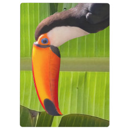 Prancheta design Tucano クリップボード
