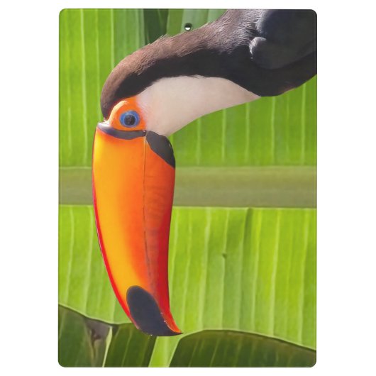 Prancheta design Tucano クリップボード (裏面)