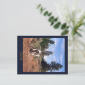 Prarieの回顧録 ポストカード (スタンド正面)