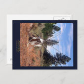 Prarieの回顧録 ポストカード (正面/裏面)