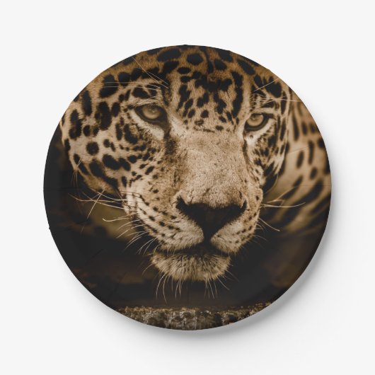 Prato de Papel Via Pantanal Onça ペーパープレート (正面)