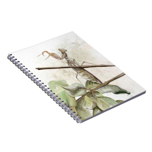Pray Mantis watercolor  ノートブック (右側)