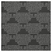 Prayerチェロキー主 ファブリック (見本)